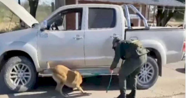 ocultaban-29-kilos-de-cocaina-en-el-tanque-de-combustible,-pero-el-olfato-de-los-perros-de-gn-los-descubrio-en-juarez