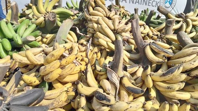 productores-regalaron-bananas-y-reclamaron-aporte-no-reembolsable