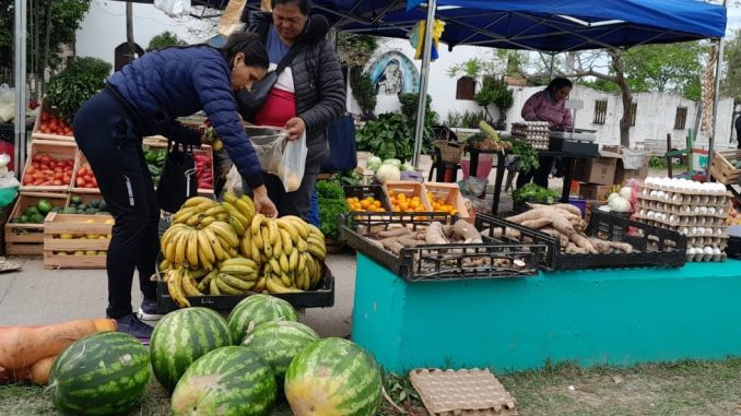 con-buenas-ventas-se-llevo-a-cabo-una-nueva-edicion-de-«el-mercado-en-tu-ciudad»-en-el-barrio-santa-rosa