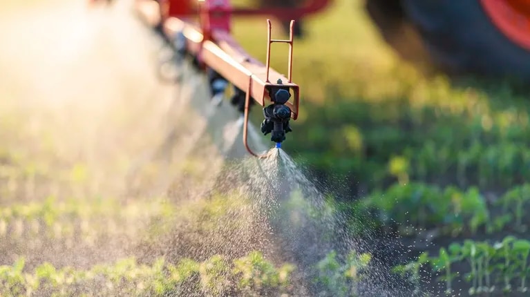 destacan-la-importancia-de-los-fertilizantes-para-aumentar-la-produccion-de-alimentos