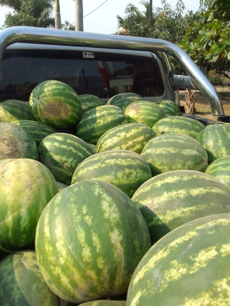 soberania-alimentaria-formosena-acercara-la-venta-a-los-barrios-san-antonio-y-san-juan-bautista