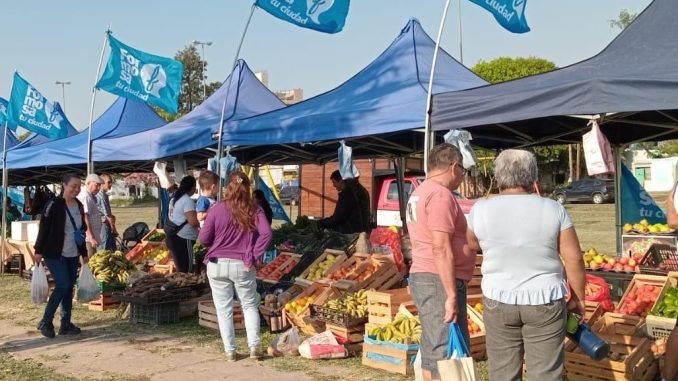 maraton-de-mercado-en-tu-ciudad-con-pescado-de-mar