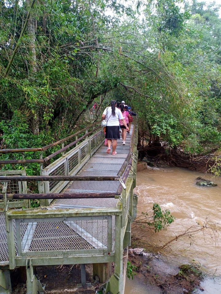 cataratas-del-iguazu:-reabren-otro-tramo-de-las-pasarelas-despues-de-las-crecidas