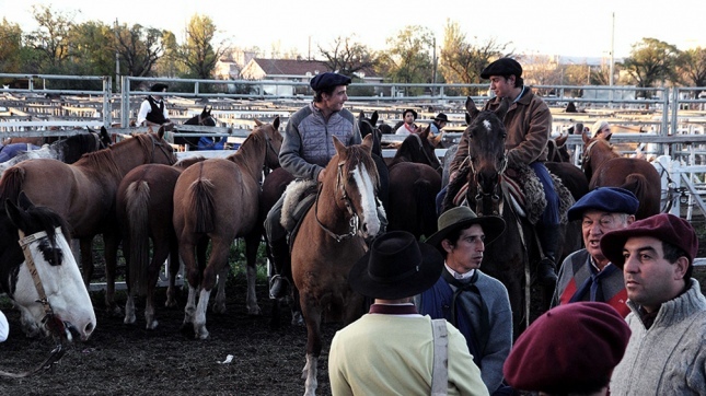 cerco-sanitario-en-corrientes-y-santa-fe-por-brotes-de-encefalomielitis-equina