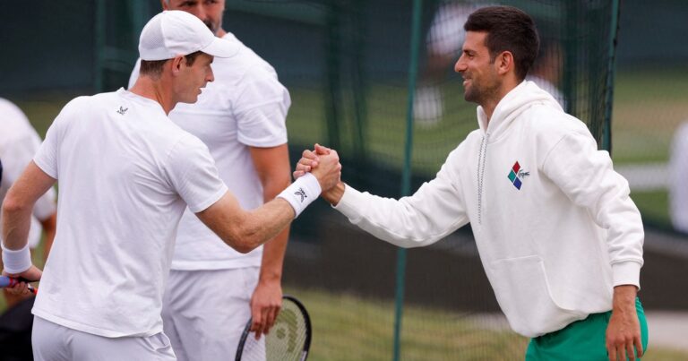 Dos leyendas se potencian: Andy Murray será el entrenador de Novak Djokovic a partir del Abierto de Australia 2025