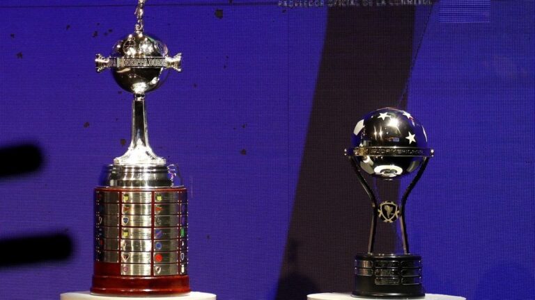 Cómo está la pelea para ingresar a la Copa Libertadores y Sudamericana del 2025