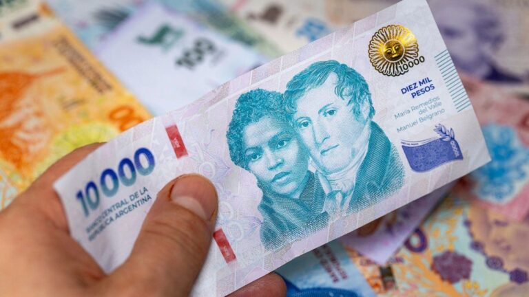 El poder adquisitivo del salario mínimocayó un 30% en el primer año del gobierno de Javier Milei