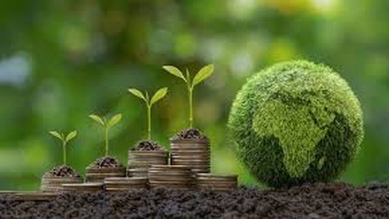 Economía verde: qué es y por qué es tan importante para el medio ambiente