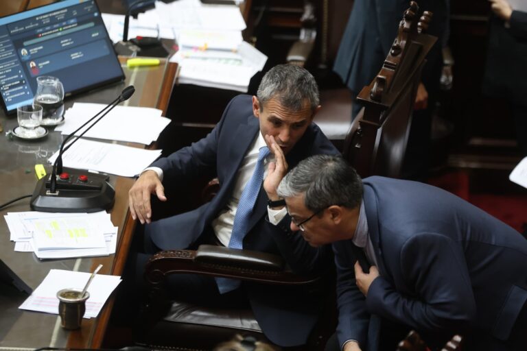 Los libertarios, Pro y el kirchnerismo evitan pronunciarse sobre las propiedades no declaradas del jefe de la DGI mientras que otros partidos piden transparencia