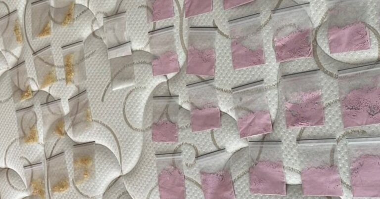 Punta del Este: detuvieron a 12 argentinos en Uruguay por tráfico de cocaína, éxtasis y «tusi»