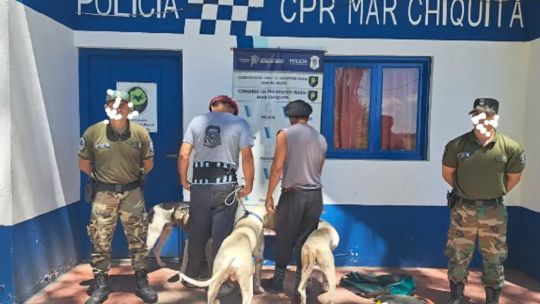 Mar Chiquita: detuvieron a dos cazadores furtivos con varios galgos y