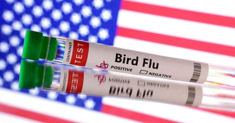 Se confirma la primera muerte humana por el virus de gripe aviar en Estados Unidos