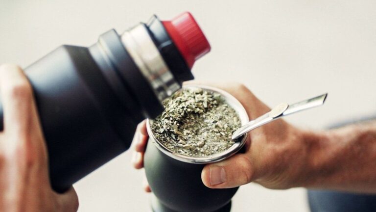 La hierba que transforma el mate en un remedio para el malestar estomacal