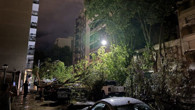 Impresionante tormenta con granizo azotó a Mar del Plata
