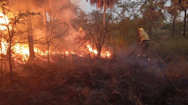 El Ministerio de la Producción brindó recomendaciones para evitar incendios forestales