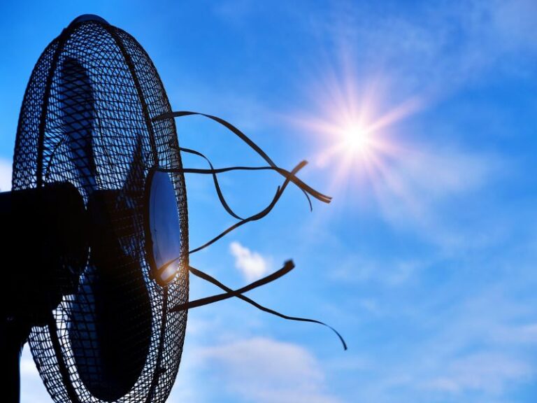 Todo lo que hay que saber sobre ventiladores