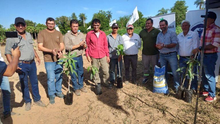 Jornadas técnicas sobre el cultivo de mango organizadas por el Gobierno de Formosa