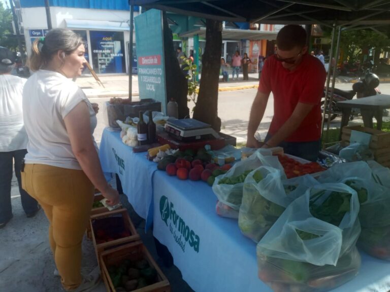 Volvieron los tradicionales Bolsones Saludables