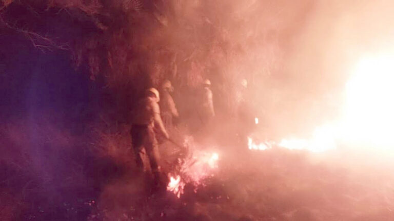 Colonia San Hilario: un incendio de pastizal y campo consumió 180 hectáreas