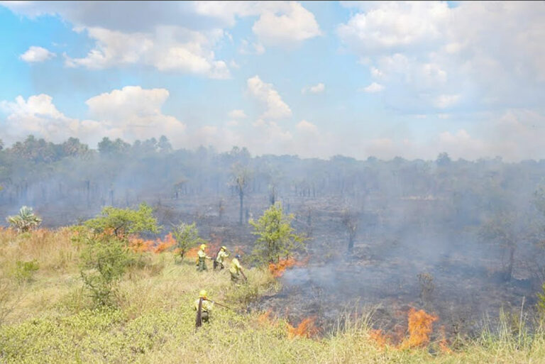 Ruta Nacional 81: incendio de pastizal de gran magnitud consumió 70 hectáreas