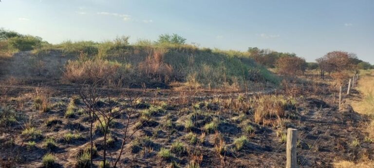 La sequía y la presión impositiva acorralan a los productores ganaderos de Chaco y Formosa