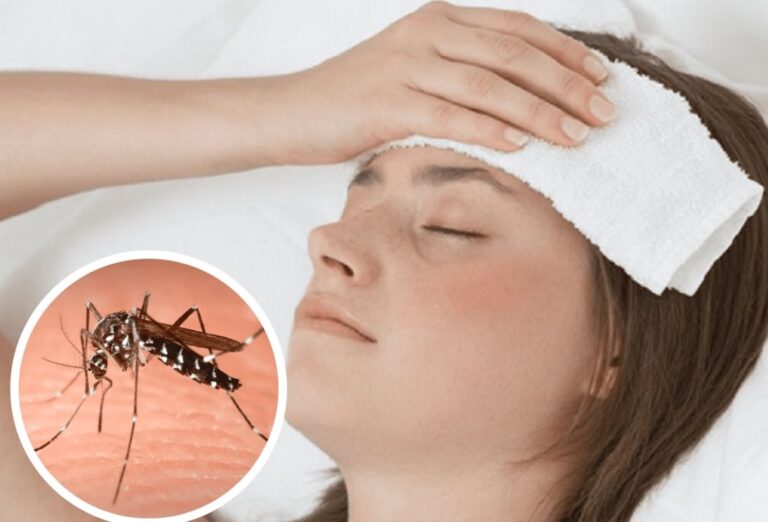 Los casos de dengue cerraron sin importantes variaciones en las cifras respecto a la anterior