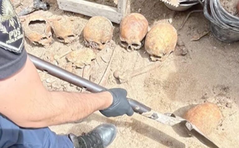 Macabro: hacía refacciones en el fondo de su casa en Pinamar y encontró más de 10 cráneos humanos