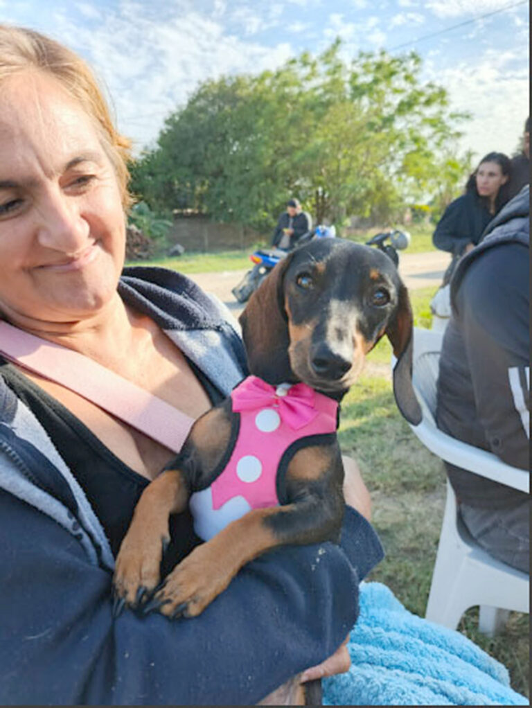 Se realizó jornada de castración en el barrio 25 de Mayo de la ciudad