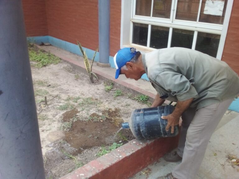 Informaron un ligero aumento de casos de dengue en el recuento de esta semana