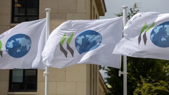 La OCDE mejoró las perspectivas de crecimiento al 5,7% para la Argentina en 2025