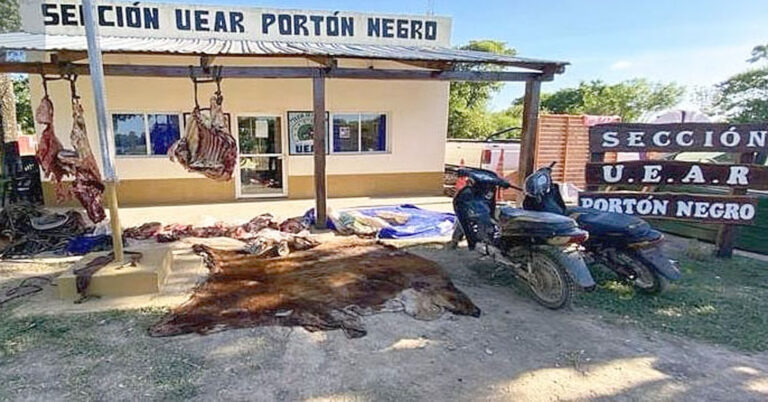 Se esclarecieron casos de faenas clandestinas y contrabando de animales desde Paraguay