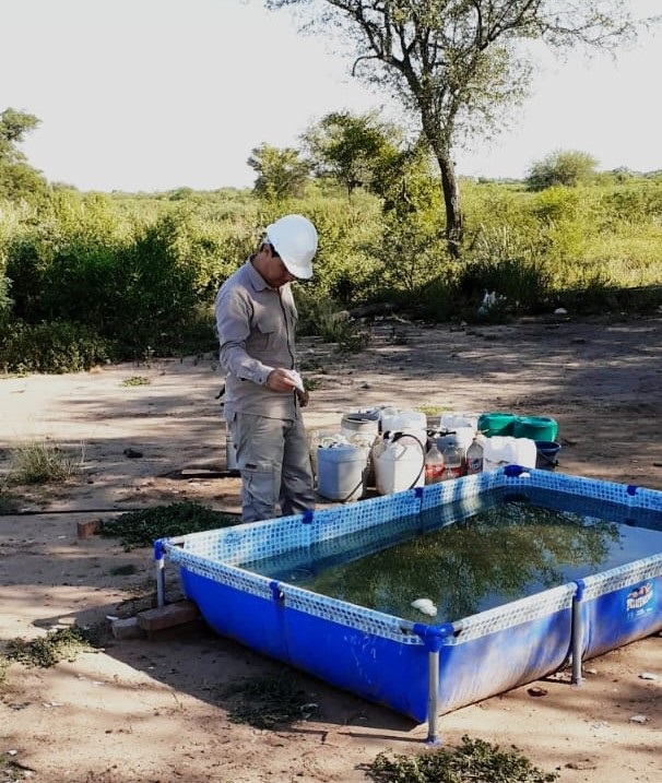Dengue: recordaron nuevamente la necesidad de evitar la formación de criaderos de mosquitos