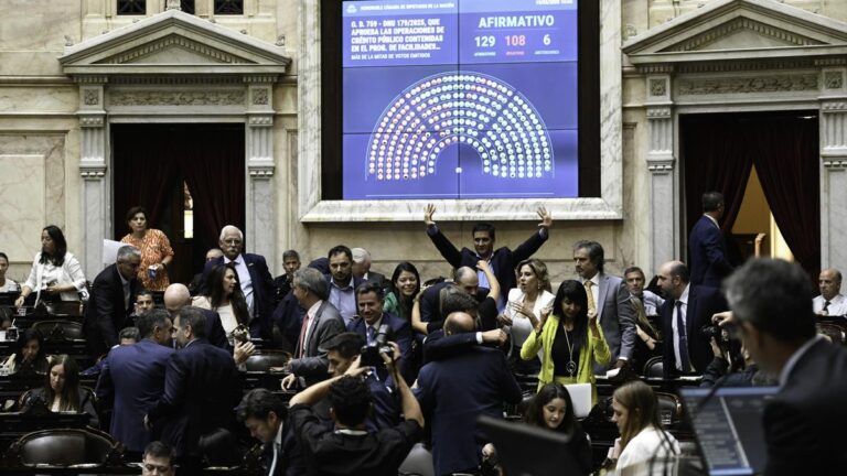 FMI por DNU: En el Congreso se le dio un cheque en blanco al Presidente