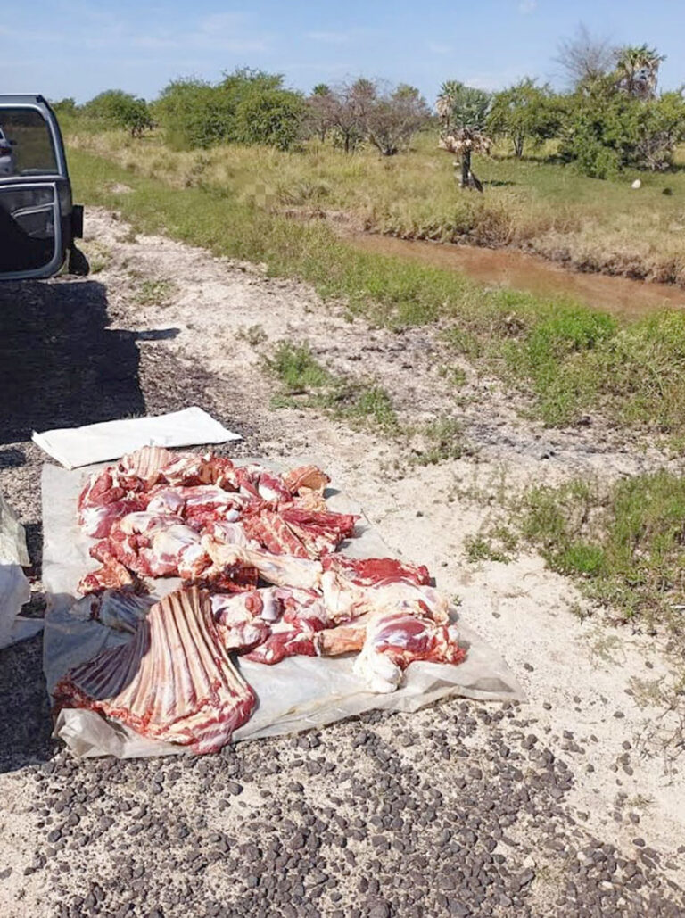 Trasladaban carne vacuna sin respetar la cadena de frío y los descubrieron