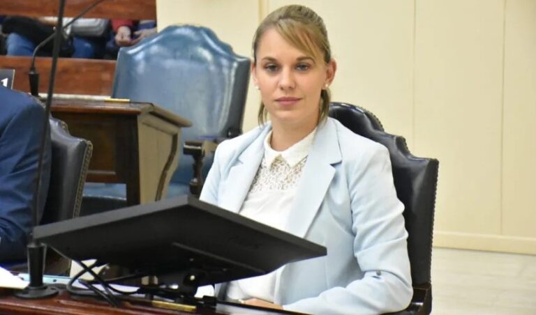 Zaiser presentó iniciativa para garantizar mayor seguridad y calidad en los CDI de la provincia