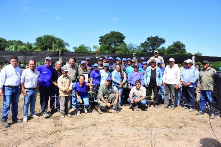 El PAIPPA llevó a cabo una Jornada Técnica de Cultivo de Cebolla en colonia La Primavera