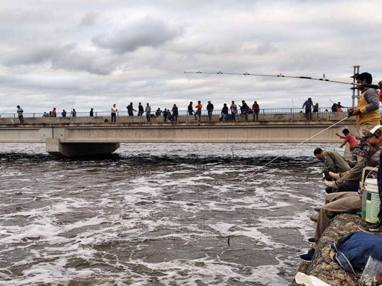 Ante el descenso de las aguas del Bañado, familias retomarán su ubicación