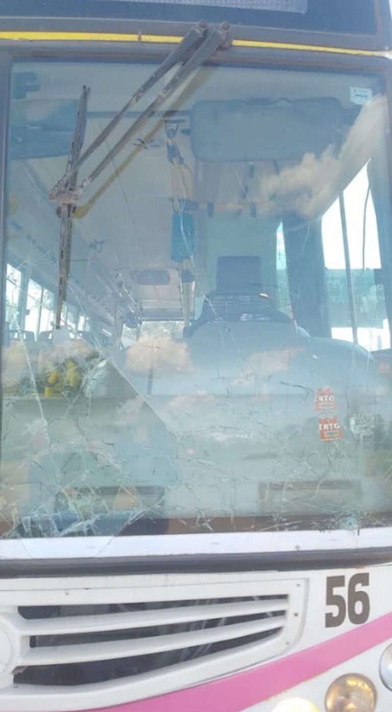 Preocupante: hombre golpeó un colectivo de Fermoza con la cabeza y provocó daños