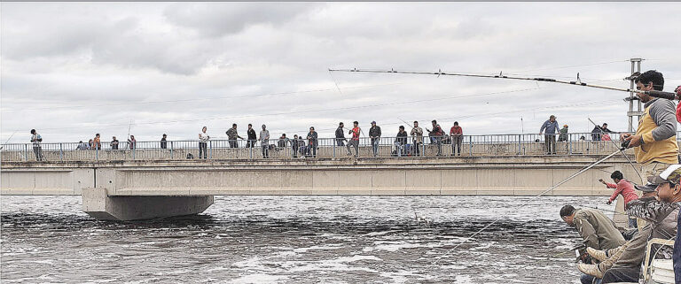 Ante el descenso de las aguas del Bañado, familias retomarán su ubicación
