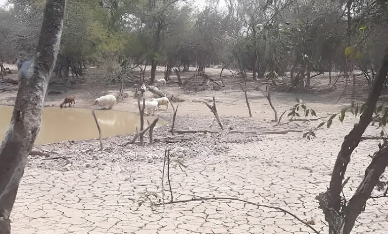 Maglietti advirtió sobre la crítica situación del campo: Esto puede llevar al abandono de tierras