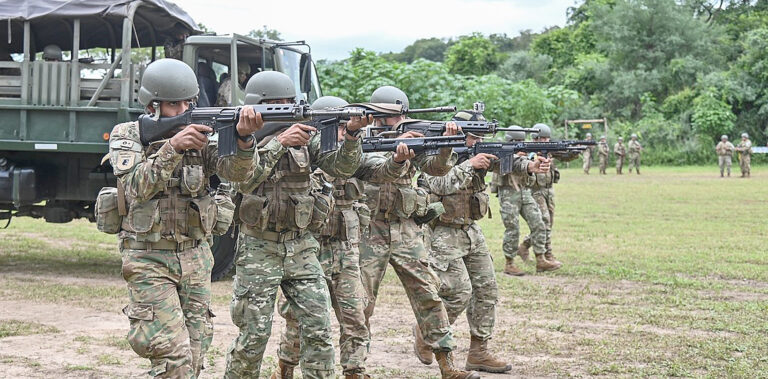 Operativos de las FF.AA. y la Gendarmería en el norte para enfrentar el narcotráfico