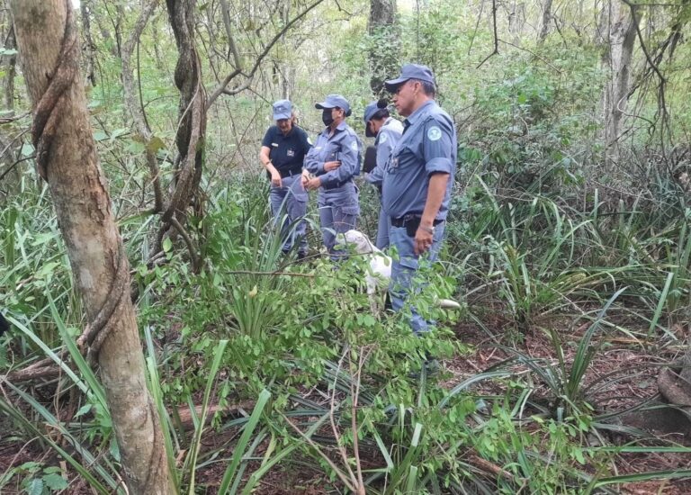 Triste: una niña de cinco años fue hallada sin vida en la Colonia Weitzel