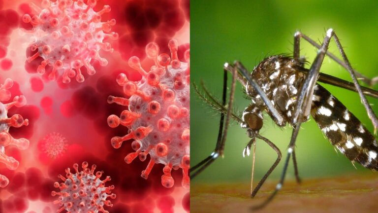 Dengue y COVID-19: Piden no relajarse y seguir cumpliendo las medidas preventivas