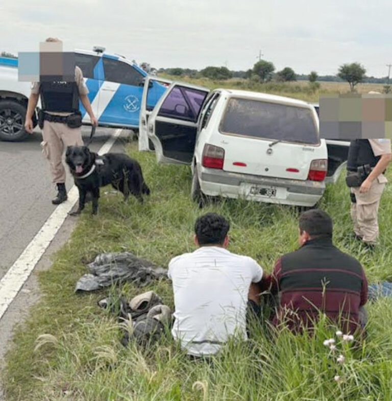 Operativo Paquetes voladores: PNA secuestró droga en Misiones y Formosa