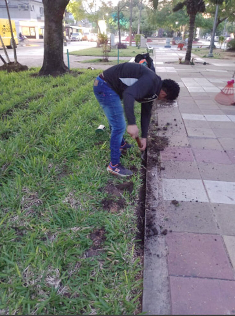 Activa intervención del municipio para el mantenimiento de espacios verdes en la ciudad