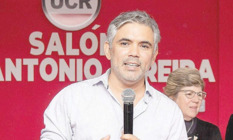 Montoya: El 29 de junio lo único que se define es si Insfrán puede o no ser candidato