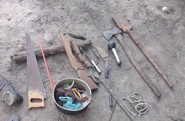 Desarticulan campamento de abigeos