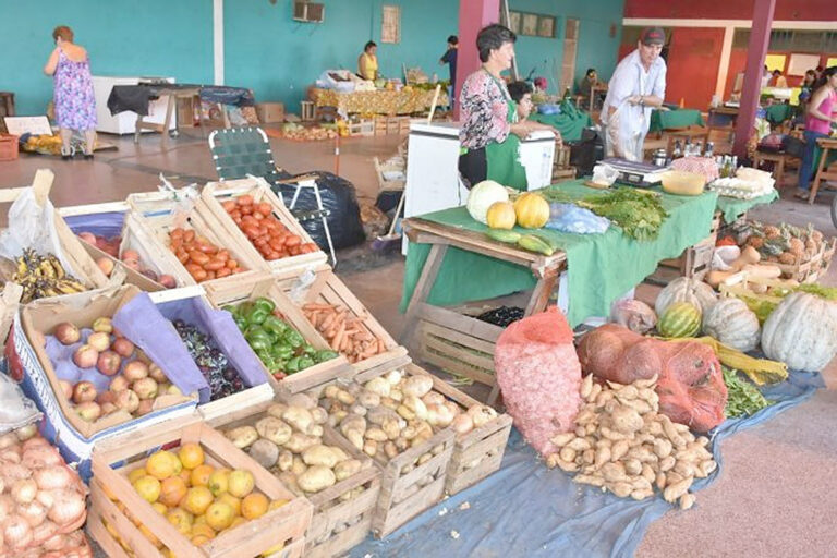 Se desarrolló una nueva jornada exitosa de Ferias PAIPPA