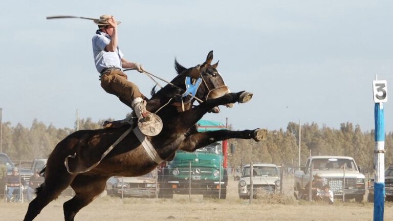 Empanadas a caballo: crónica de una república en masa y sin jinete (Por Lic. Faustino Yiyo Duarte)