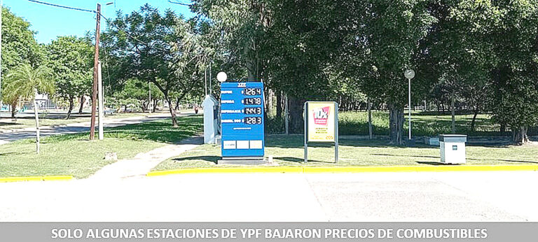 La Defensoría informó que solo algunas YPF bajaron el precio de sus combustibles